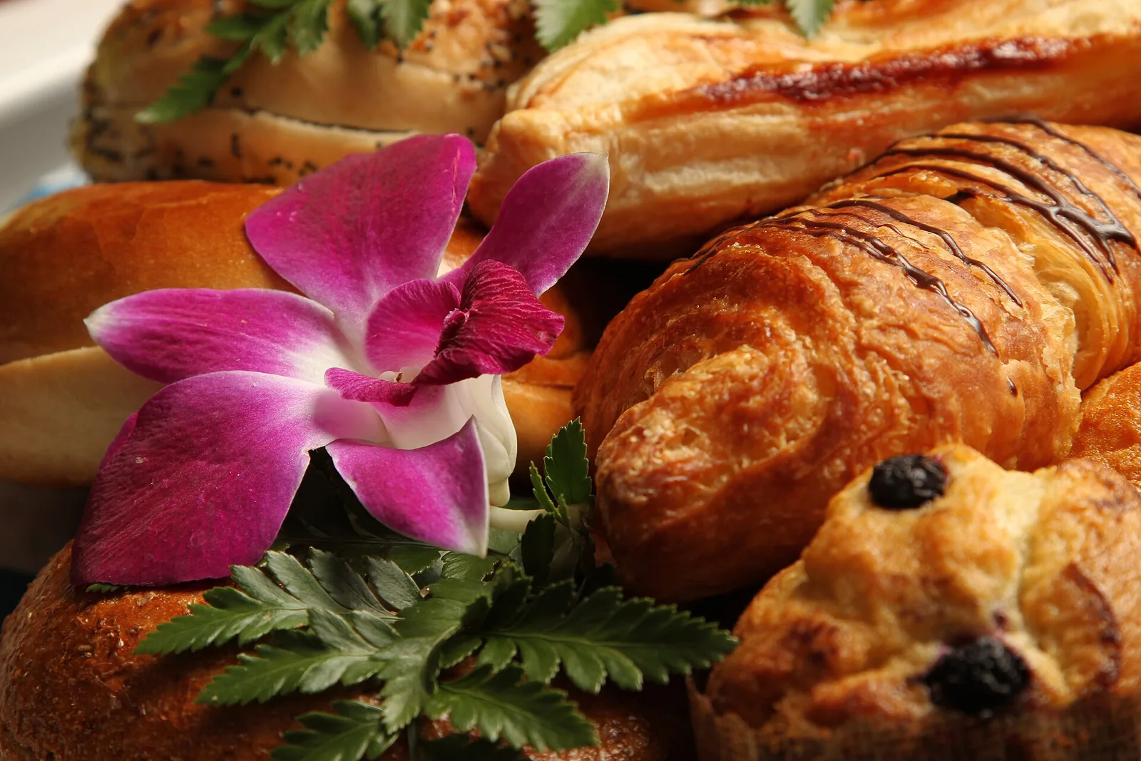 Breads and pastries laid out on a table. The photo was not taken at a Norfolk bakery.