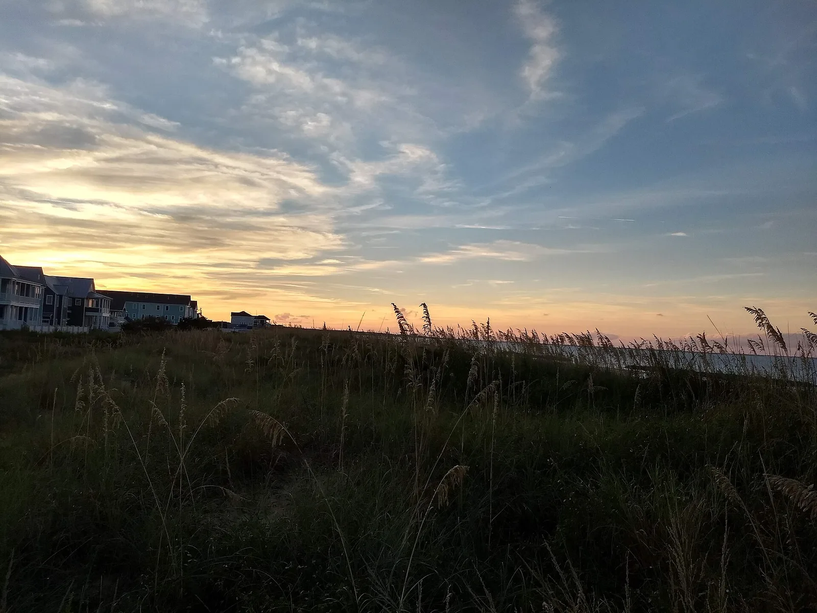 Dune grass and beach houses at East Beach in Ocean View, home of Norfolk's Saturday farmers market.